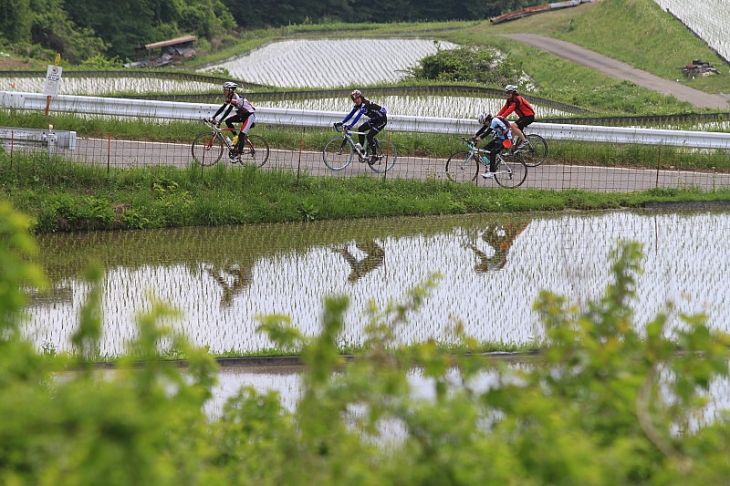 信州は田植えの季節を少し過ぎた頃