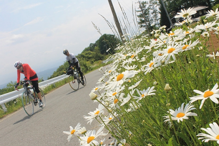 沿道には多くの花が咲いていたけれど、見る余裕はなかったかも？