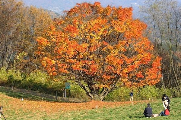 9月初旬の信州はうっすらと秋の季節に