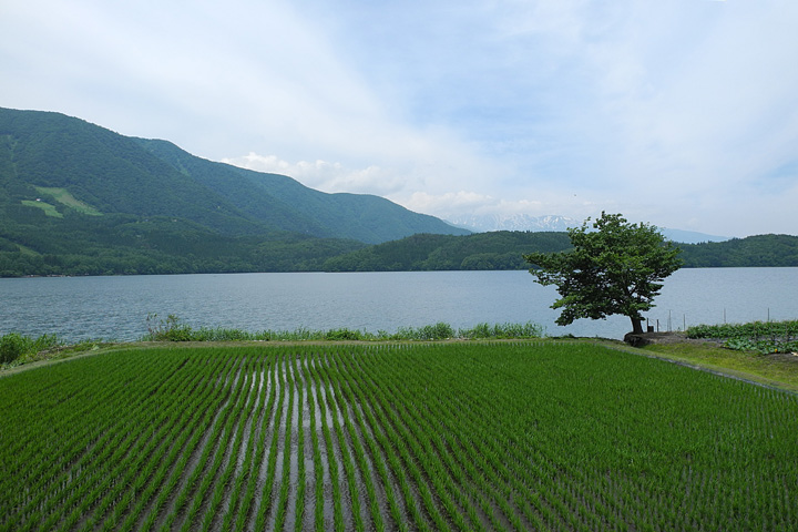 風光明媚な仁科三湖のほとりを走る