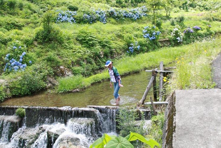 暑くなったら気が向いた場所で川に足をつけるのもひとつの楽しみ