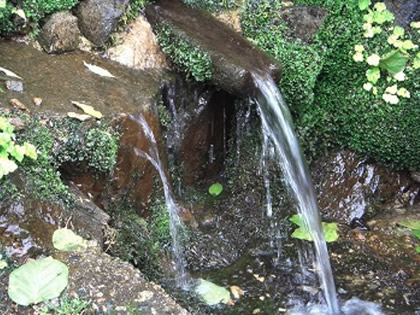 道端に湧き出ていた天然水をボトルに詰める