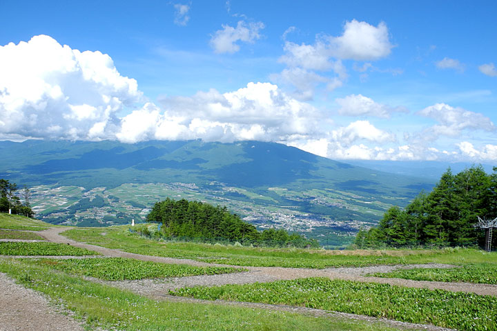 1780mの頂上は雄大な八ヶ岳の景色が見える