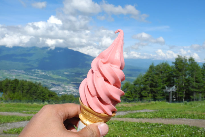 富士見パノラマ名物、酸味が美味しい「ルバーブソフトクリーム」