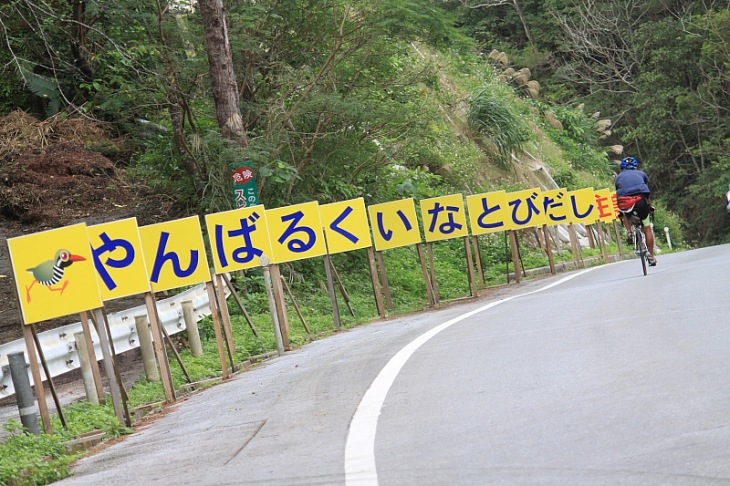 やんばるくいなとびだし注意の看板も沖縄ならでは