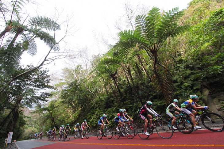 11月はツール・ド・おきなわの季節。ガチンコ勝負のレースからのんびりサイクリングまで楽しめる