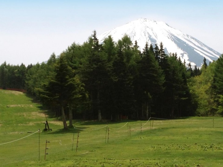 富士山に抱かれる「ふじてんスノーリゾート」が会場だ