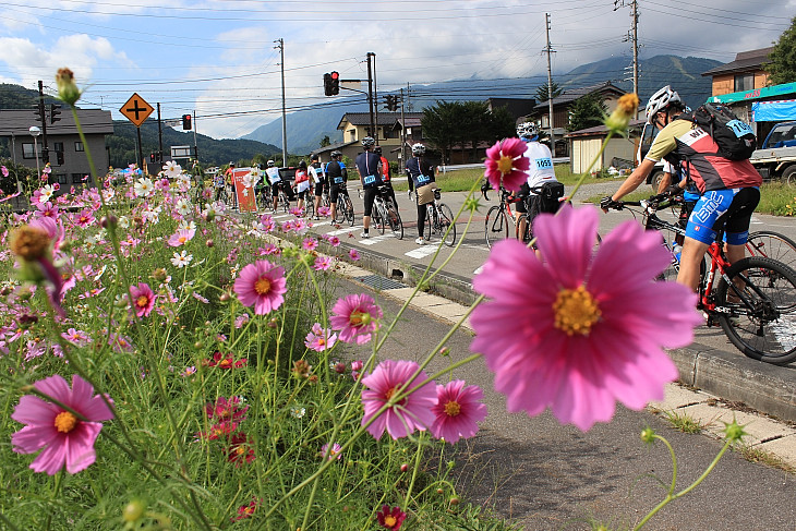 秋めく信州を走る　北アルプス山麓グランフォンド