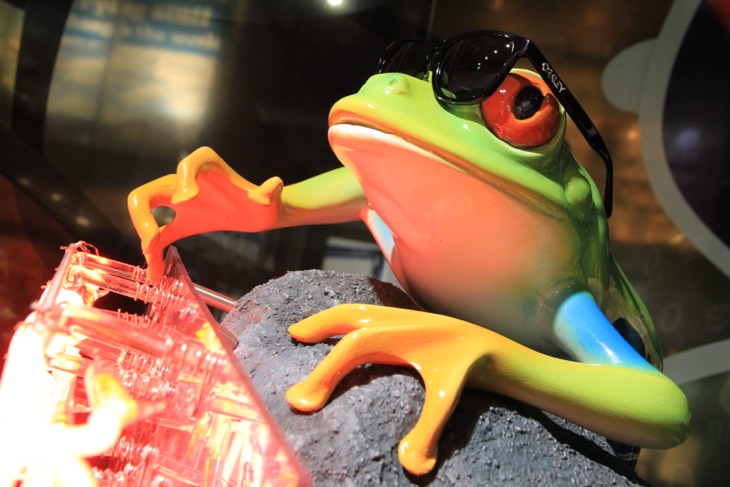 Frogskinsを象徴するアマゾンカエル(?)がお出迎え