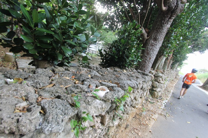 鳩間島の住宅には昔ながらの石垣が残る