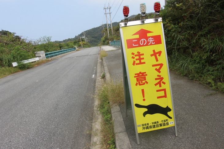 西表島ならではのたて看板。実物は見ることができませんでした