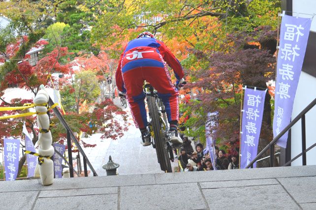 境内は紅葉が見頃。一般参拝ながらレースを観戦した方も多かった