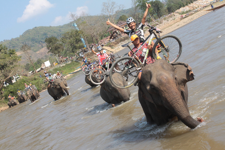 ゾウに乗ってのっしのっしと川を渡る。こんな体験他ではできない