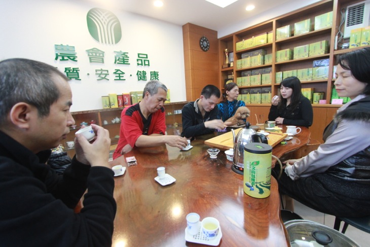 坪林茶業博物館でお茶を楽しむ台湾の愛好家