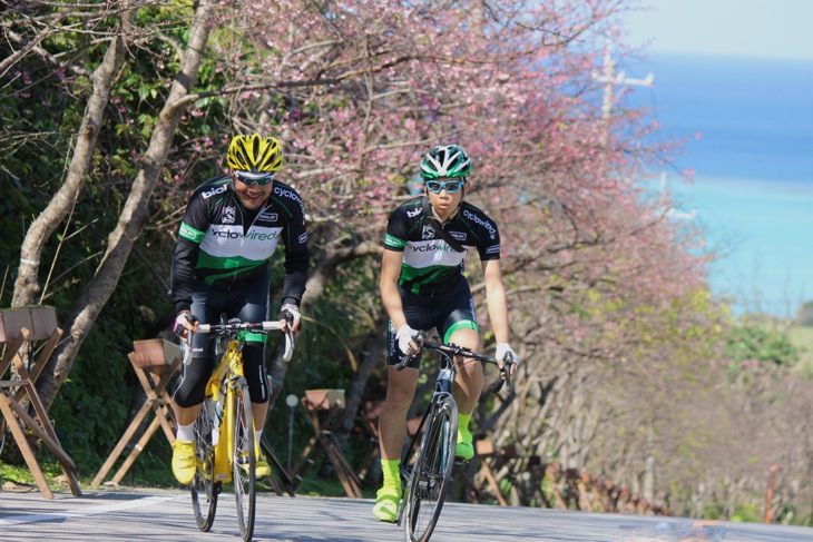 今帰仁城跡にちょっと寄り道。けっこうな急坂でした。