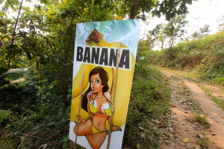 山中に突如現れた水着の美女「バナナポイント」の看板