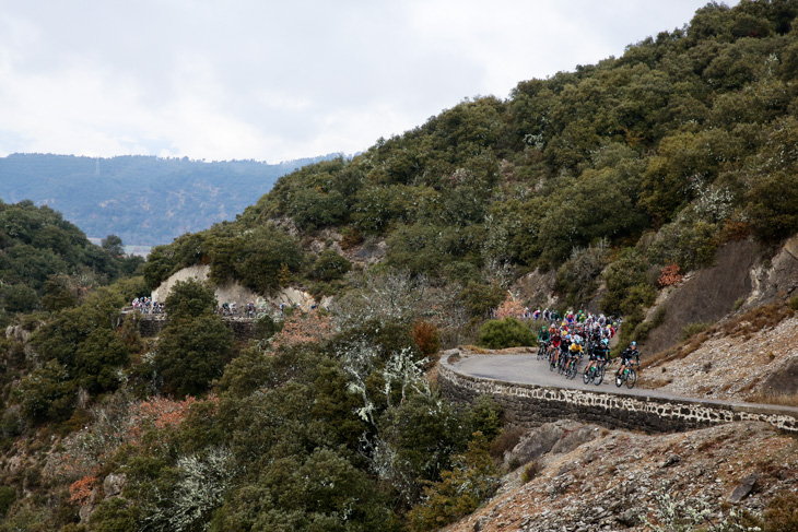 スカイプロサイクリングが率いるメイン集団がオートプロヴァンスの山岳地帯を行く