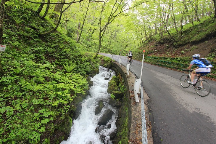 静謐な雰囲気ただよう白糸ハイランドウェイは、今大会に限って自転車の通行が許可される