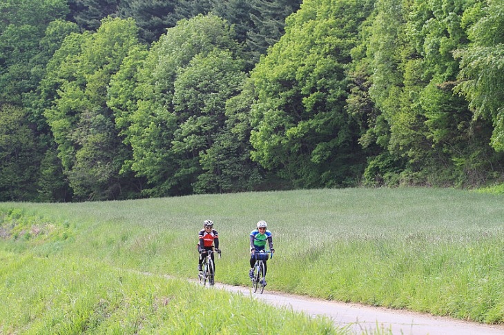 ほとんど自転車専用道と化した気持ちのよい林道を走る