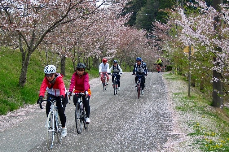 桜を眺めつつ走る春のライド