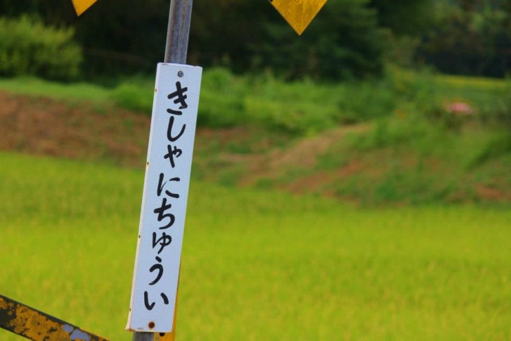 風情ある車窓も楽しみのひとつ