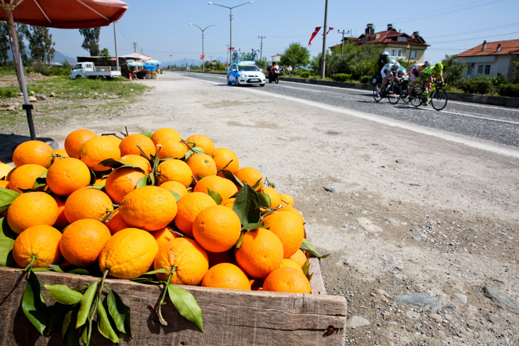 沿道では特産品のオレンジの屋台が並ぶ