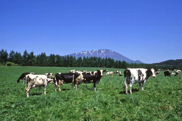 日本最大の農場である小岩井農場近辺もルートに含まれる