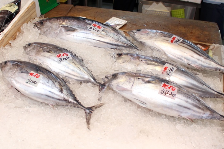 地元の鮮魚店には大ぶりで新鮮なカツオが店頭に並ぶ