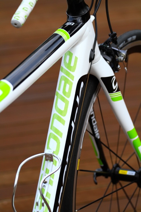 ダウンチューブ上部にCannondaleのグラフィックが入る