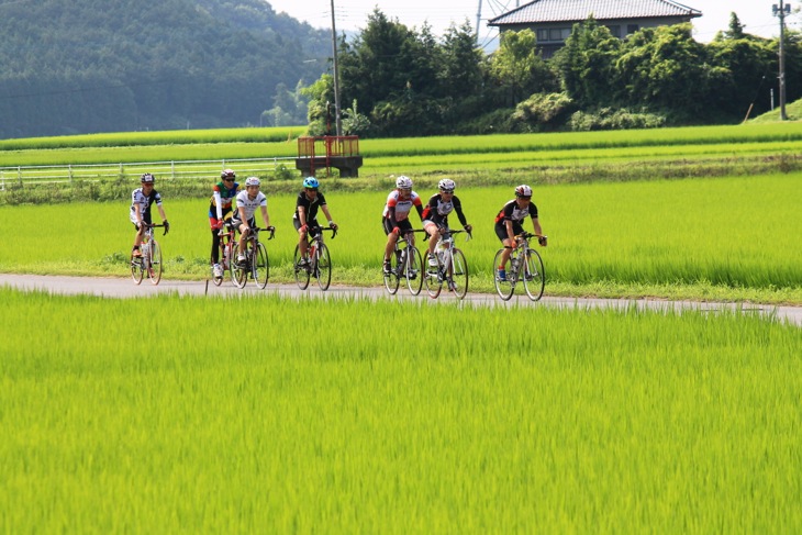 青々と繁る田園風景の中を走る。田んぼの香りが心地よい