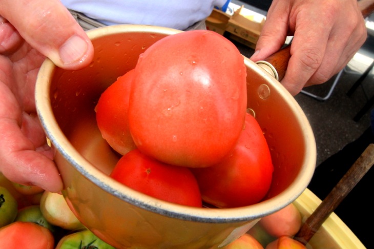 エイドステーションで配られた地元産のトマト