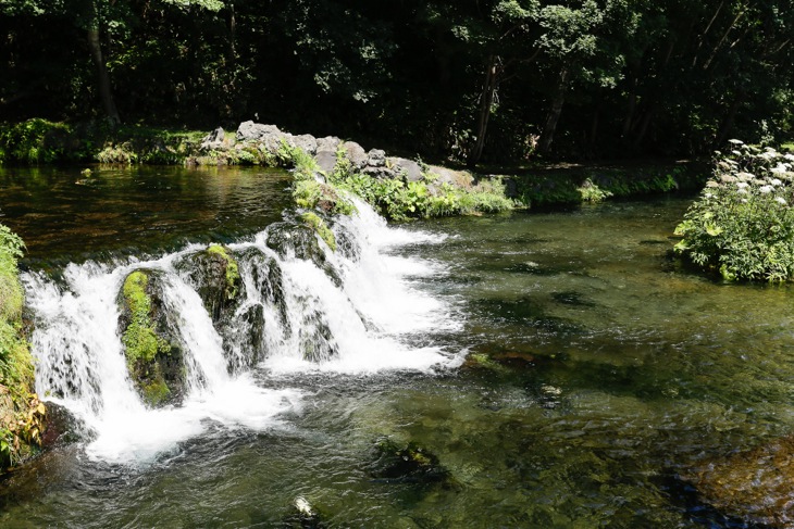 支笏湖畔の水辺と森を駆け抜ける(写真はイメージ)