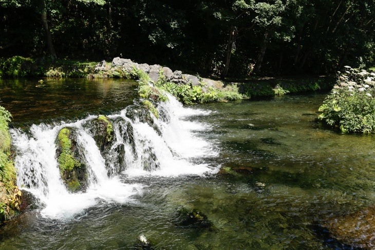 支笏湖畔の水辺と森を駆け抜ける（写真はイメージ）