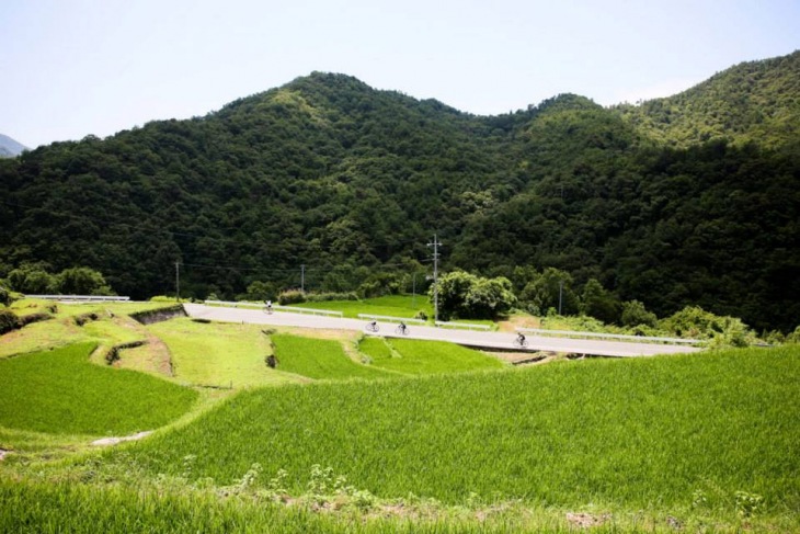 広がる棚田。日本の自然を凝縮したような風景が続く