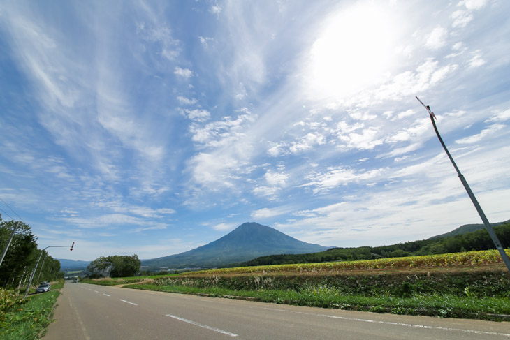 本大会で3回通る倶知安町内。どこからでも羊蹄山が見える