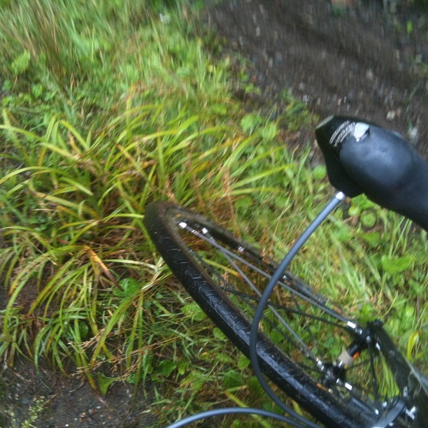 @ridechunadon ここならいけるか! 草に隠れてる石にちうい。
