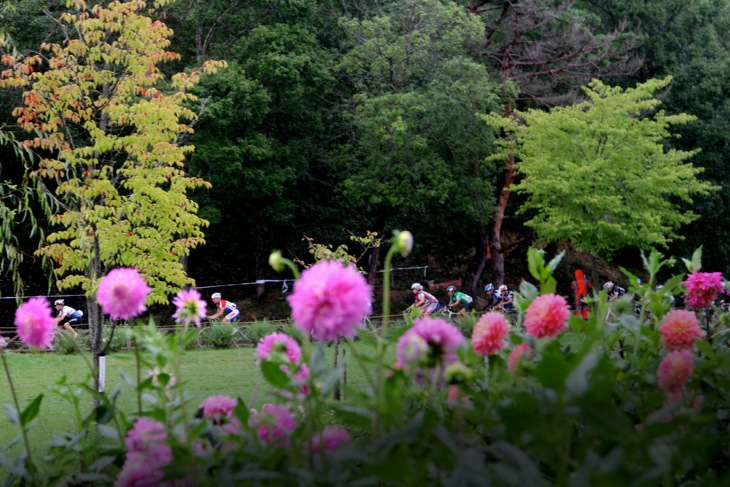 ダリヤ園の公園内を疾走