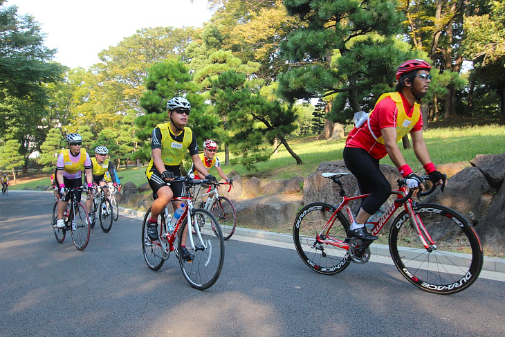 朝日が照らす代々木公園の中を通過する