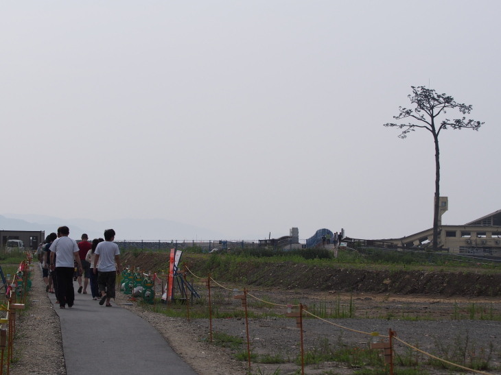 歩道が整備された「奇跡の一本松」