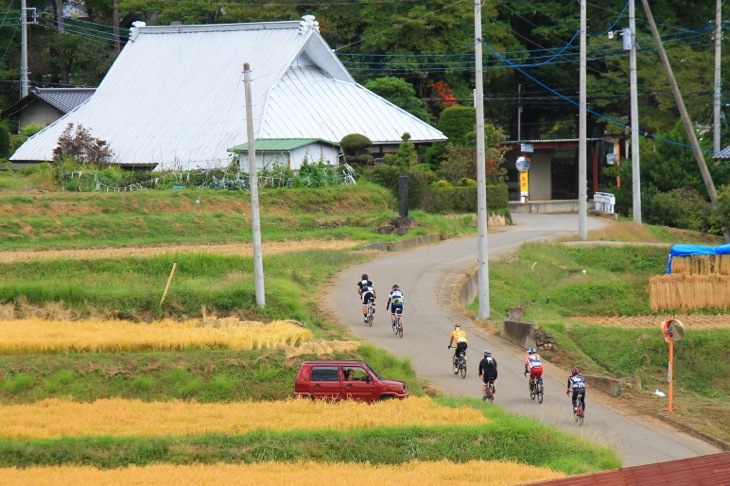 収穫を迎えつつある黄金色の田んぼの中を行く