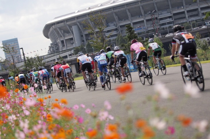 コスモスが咲く新横浜公園を走り抜ける　バックがメイン会場の日産スタジアムだ