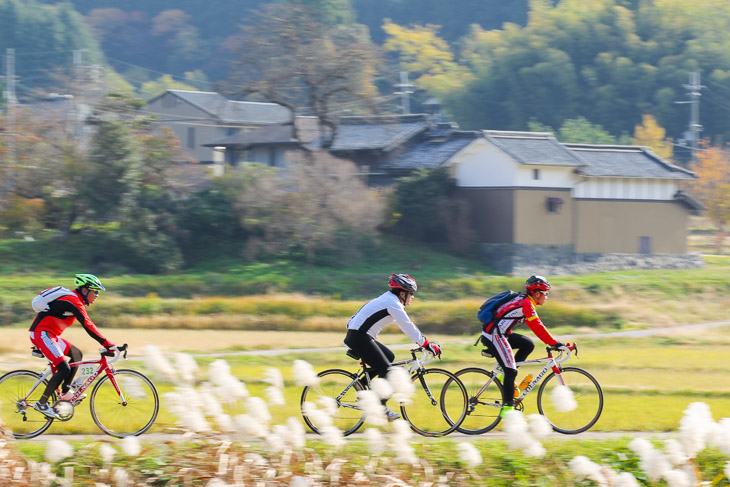 心地よい大宇陀の小川沿いのサイクリングルート