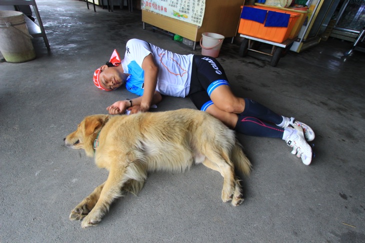 海鮮食堂で寝ていた2匹の犬(笑)