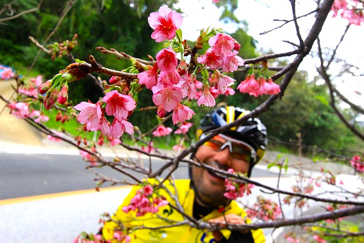 今年も”日本一早い桜”に逢う事ができました。