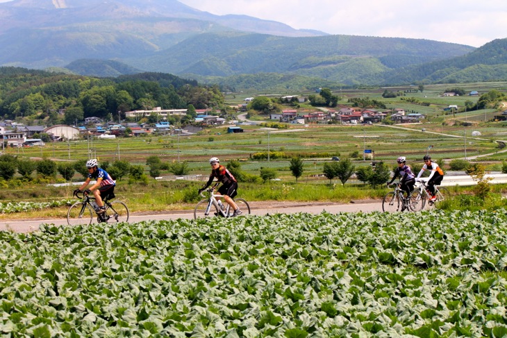 軽井沢〜嬬恋村ならではのキャベツ畑の風景が広がるなか走るグランフォンド軽井沢