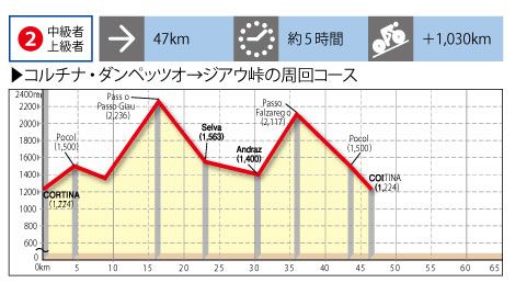 コース2 プロファイル