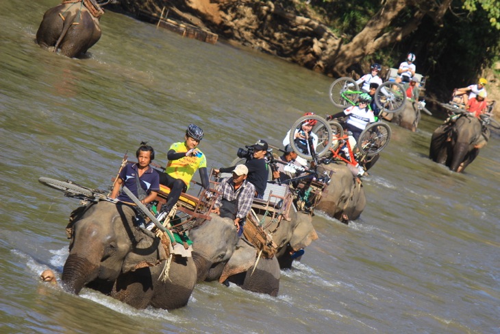 象に乗って川を渡る。乗っている本人は落っこちないかとヒヤヒヤだ