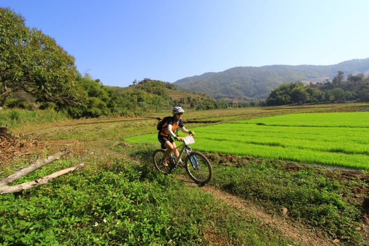 美しい田園地帯を走る