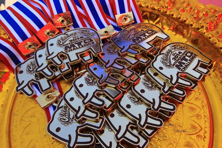 象の完走メダル　毎年少しずつデザインが違う