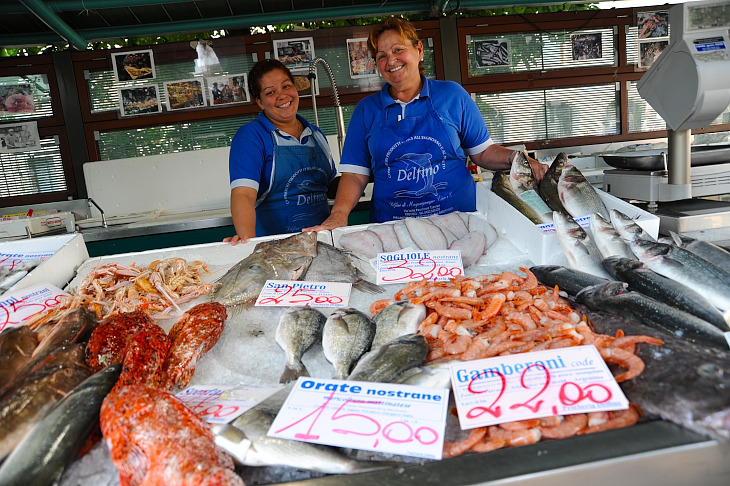 アドリア海の魚介類を使ったイタリアンを食べる機会も作れる